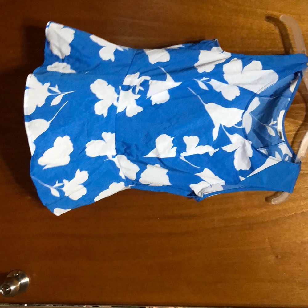 Blue and White Blouse